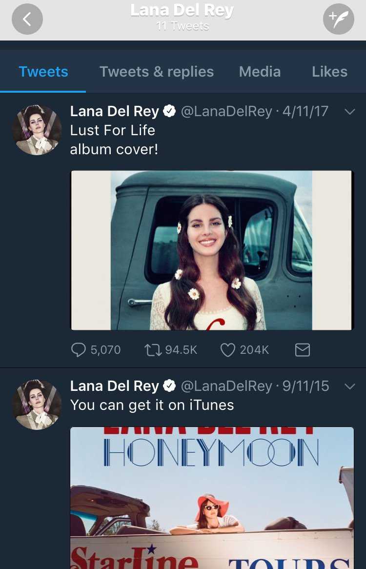Lana Del Rey Twitter Delete