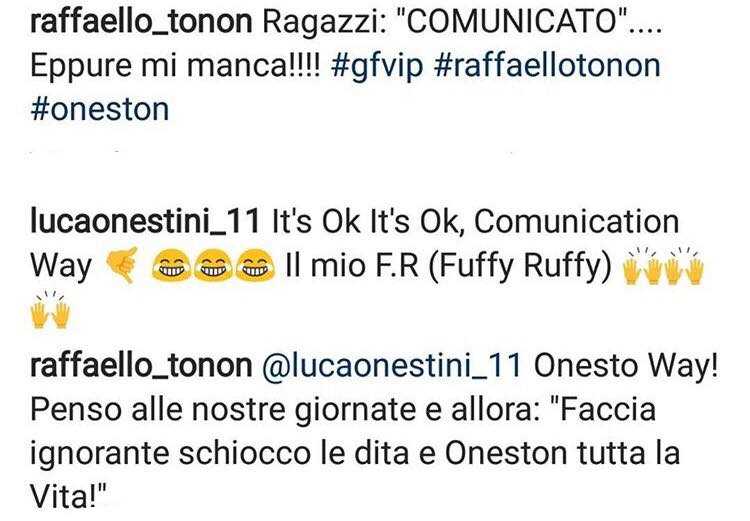 Raffaello Tonon Oneston (1)